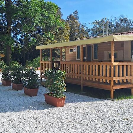 Mobile Home Viareggio - Including Airco- Camping Paradiso - G008 Exterior foto