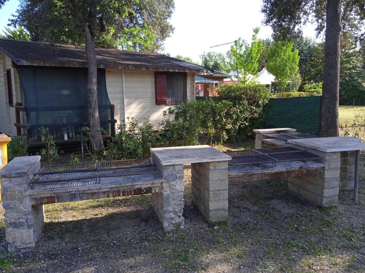 Mobile Home Viareggio - Including Airco- Camping Paradiso - G008 Exterior foto